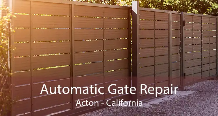 Automatic Gate Repair Acton - California