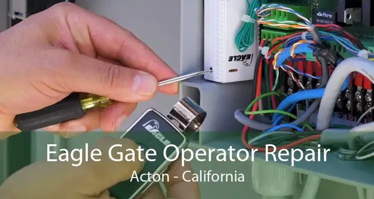Eagle Gate Operator Repair Acton - California