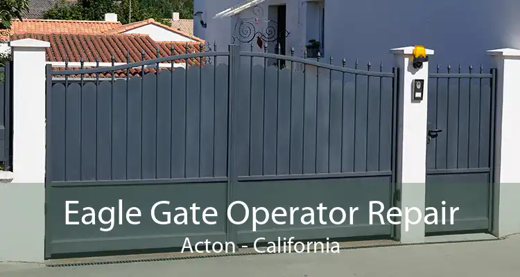 Eagle Gate Operator Repair Acton - California