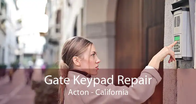 Gate Keypad Repair Acton - California