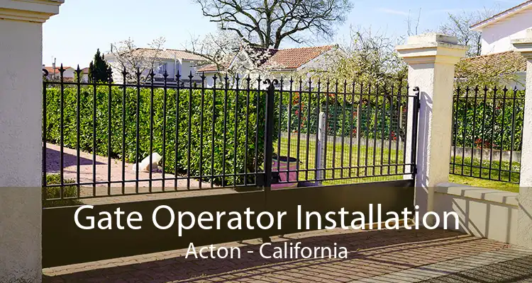 Gate Operator Installation Acton - California