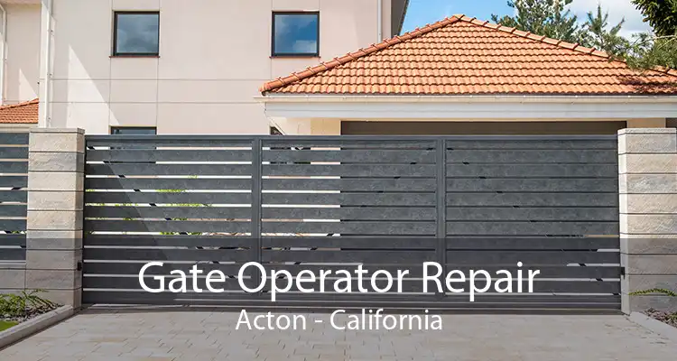 Gate Operator Repair Acton - California