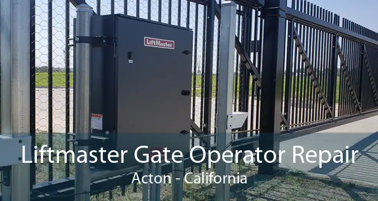 Liftmaster Gate Operator Repair Acton - California