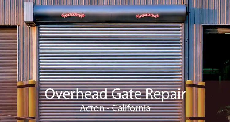 Overhead Gate Repair Acton - California