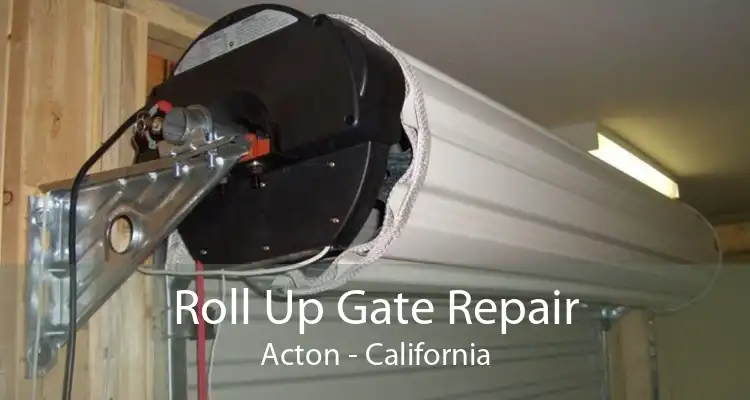 Roll Up Gate Repair Acton - California