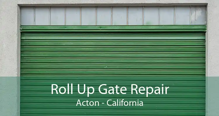 Roll Up Gate Repair Acton - California